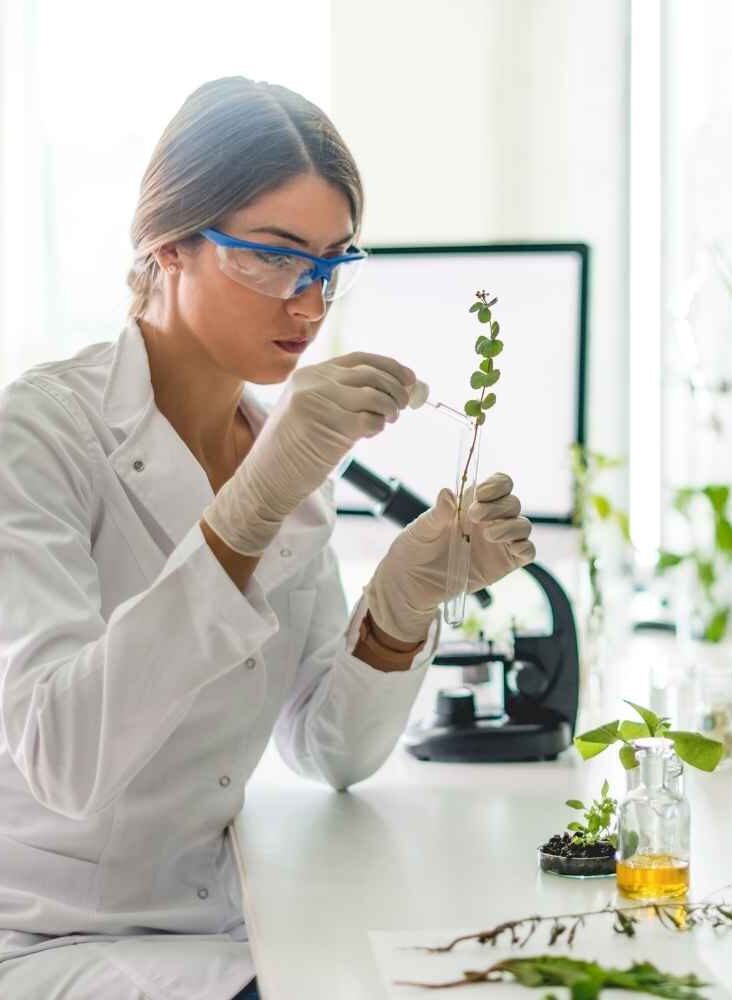 Innovazione fitoterapica